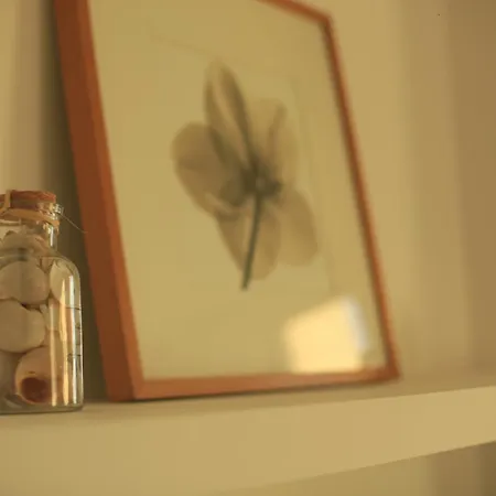 Sunset Paradise أذيخي