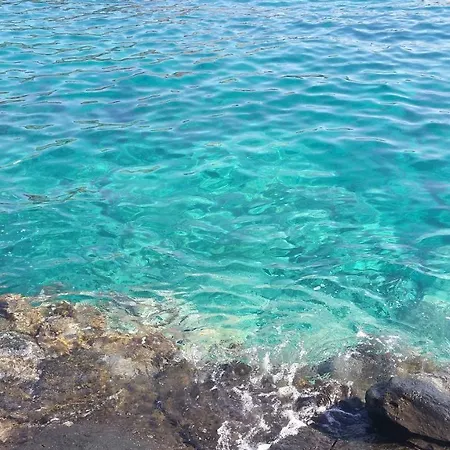 Sunset Paradise أذيخي